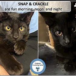 Photo of Snap & Crackle