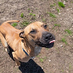 Photo of Boone