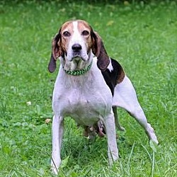 Photo of Mary Jane
