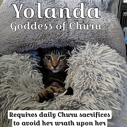 Thumbnail photo of Yolanda - Goddess of Churu #1