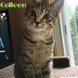 Thumbnail photo of Colleen -Sweetie! #1