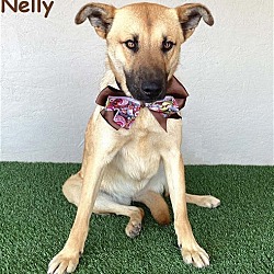 Thumbnail photo of Nelly #1