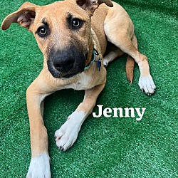 Thumbnail photo of Jenny #1