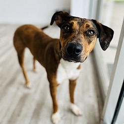 Photo of Jack