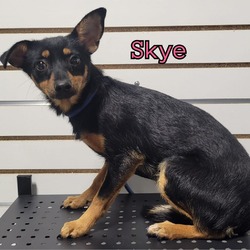 Photo of Skye_1