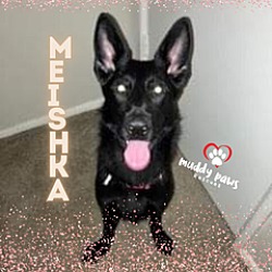 Thumbnail photo of Meishka (Courtesy Post) #1