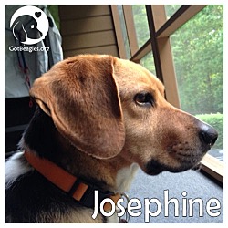 Thumbnail photo of Josphine #1