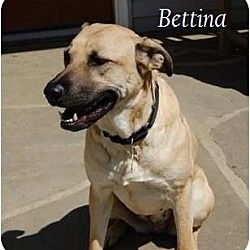 Thumbnail photo of Bettina #2