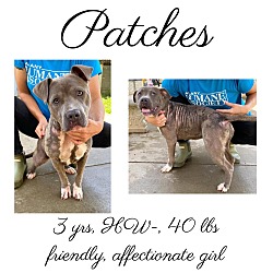 Thumbnail photo of Patches #1