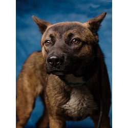 Photo of OSO