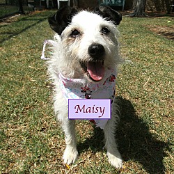 Thumbnail photo of Maisy #1