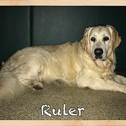 Thumbnail photo of Ruler (Deceased) #1