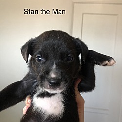 Thumbnail photo of Stan the Man #2