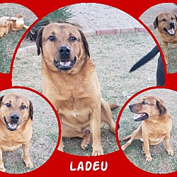 Photo of Ladeu