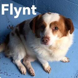 Photo of Flynt