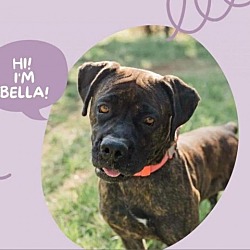 Thumbnail photo of Bella 4 #1
