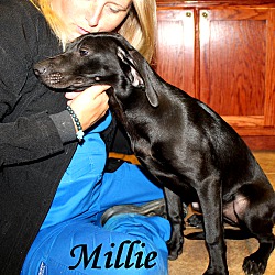 Thumbnail photo of Millie ~meet me! #2