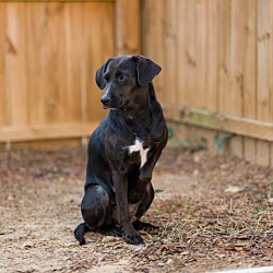 Photo of Xena
