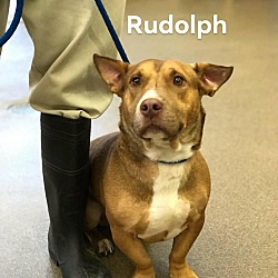 Photo of Rudolph