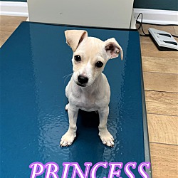 Thumbnail photo of Princess #1