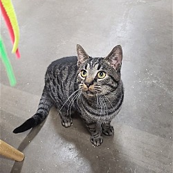 Photo of Trenton
