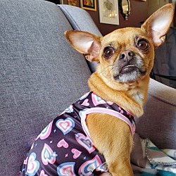 Photo of Honey