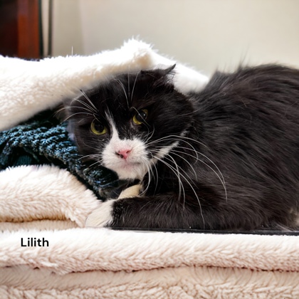 Photo of Lilith