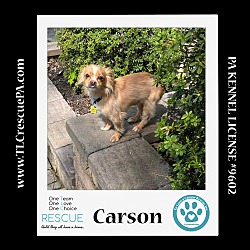 Photo of Carson 042724