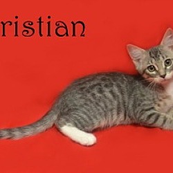 Photo of Christian