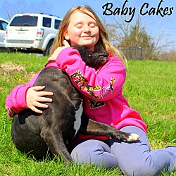 Thumbnail photo of Baby Cakes~new pics ~ meet me! #4