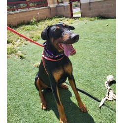 Photo of ROSCOE