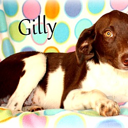 Thumbnail photo of Gilly ~ meet me! #2