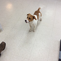 Photo of jack