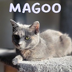 Photo of Magoo
