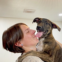 Thumbnail photo of Brando Loves Belly Rubs #2