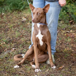 Photo of KIRA-28296