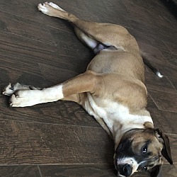 Photo of Jake