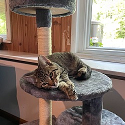 Photo of Alvin