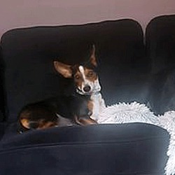 Photo of Angel