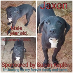 Thumbnail photo of Jaxon #3