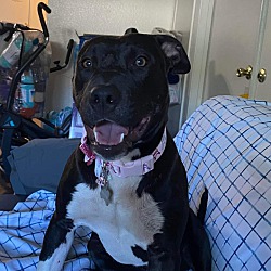 Photo of Princess