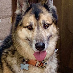 Photo of Handsome Rilo