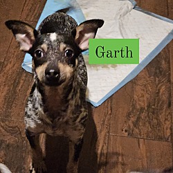 Photo of Garth