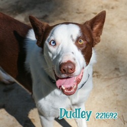 Photo of DUDLEY