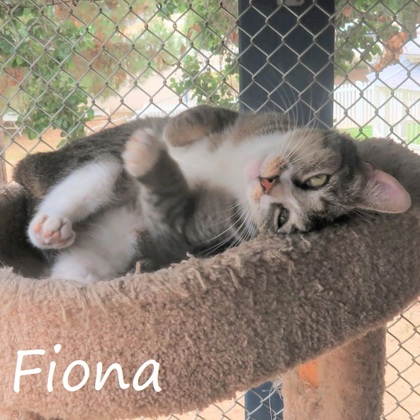 Photo of Fiona (833)