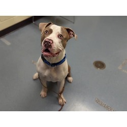 Photo of MONTE CRISTO