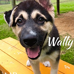 Photo of Wally