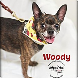 Thumbnail photo of Woody #1