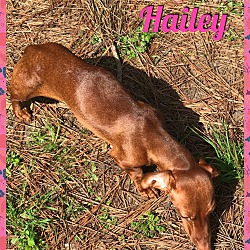 Thumbnail photo of Hailey #3