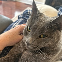 Photo of Cubby